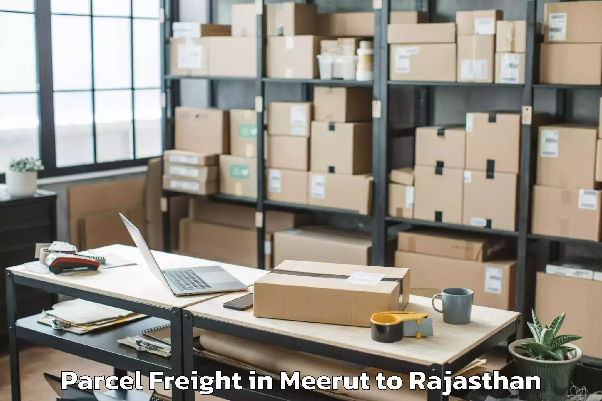 Discover Meerut to Bhindar Parcel Freight